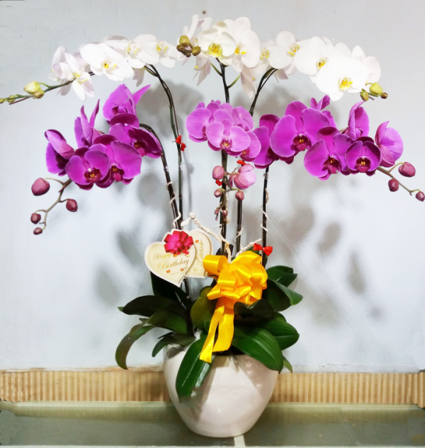 Shop Hoa Tươi Huyện Vạn Ninh, Tỉnh Khánh Hòa
