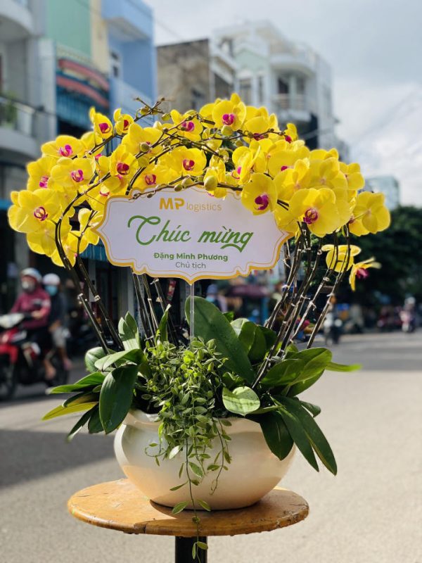 Shop Hoa Tươi Huyện đảo Trường Sa, Tỉnh Khánh Hòa